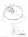 Fig. 01 - Blood processing apparatus with incipient spill-over detection