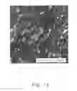 Fig. 02 - Superconductive nanocomposite