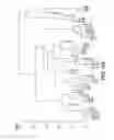 Fig. 09 - Antibody categorization based on binding characteristics