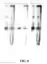 Fig. 09 - APPARATUSES FOR REAL-TIME, SINGLE MOLECULE SEQUENCE DETERMINATION