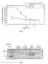 Fig. 02 - Compositions and methods for treating erectile dysfunction