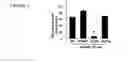 Fig. 07 - Methods and compositions for providing cardiac protection