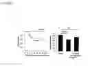 Fig. 08 - Methods and compositions for providing cardiac protection