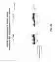 Fig. 09 - REDUCING Abeta42 LEVELS AND Abeta AGGREGATION