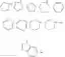 Fig. 24 - Viral polymerase inhibitors