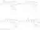 Fig. 74 - Viral polymerase inhibitors
