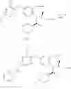 Fig. 76 - Viral polymerase inhibitors