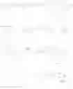 Fig. 79 - Viral polymerase inhibitors