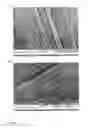 Fig. 03 - MATERIAL COMPRISING MICROBIALLY SYNTHESIZED CELLULOSE ASSOCIATED WITH A SUPPORT LIKE A POLYMER AND/OR FIBRE