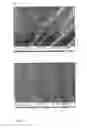 Fig. 04 - MATERIAL COMPRISING MICROBIALLY SYNTHESIZED CELLULOSE ASSOCIATED WITH A SUPPORT LIKE A POLYMER AND/OR FIBRE