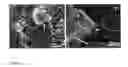 Fig. 07 - MATERIAL COMPRISING MICROBIALLY SYNTHESIZED CELLULOSE ASSOCIATED WITH A SUPPORT LIKE A POLYMER AND/OR FIBRE