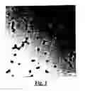 Fig. 02 - FUNCTIONALIZED VINYL POLYMER NANOPARTICLES