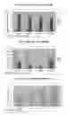 Fig. 07 - Polypropylene blends for non-woven production