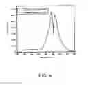 Fig. 05 - ULTRA-SMALL CHITOSAN NANOPARTICLES USEFUL AS BIOIMAGING AGENTS AND METHODS OF MAKING SAME