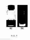 Fig. 08 - ULTRA-SMALL CHITOSAN NANOPARTICLES USEFUL AS BIOIMAGING AGENTS AND METHODS OF MAKING SAME