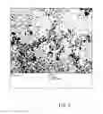 Fig. 10 - ULTRA-SMALL CHITOSAN NANOPARTICLES USEFUL AS BIOIMAGING AGENTS AND METHODS OF MAKING SAME