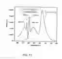 Fig. 12 - ULTRA-SMALL CHITOSAN NANOPARTICLES USEFUL AS BIOIMAGING AGENTS AND METHODS OF MAKING SAME