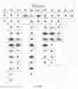 Fig. 41 - Universal fibronectin type III binding-domain libraries