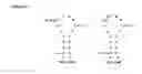 Fig. 33 - Non-natural peptides as models for the development of antibiotics