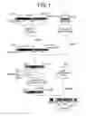 Fig. 02 - Antibody-producing transgenic silkworms and methods for producing the same