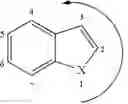 Fig. 44 - Indole derivatives as selective androgen receptor modulators (SARMS)