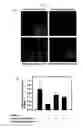 Fig. 07 - Sulfur-containing proanthocyanidin oligomer composition and production method thereof