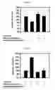 Fig. 09 - Sulfur-containing proanthocyanidin oligomer composition and production method thereof