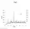 Fig. 03 - PARTICLE WITH BIPOLAR TOPOSPECIFIC CHARACTERISTICS AND PROCESS FOR PREPARATION THEREOF