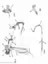 Fig. 04 - Laparoscopic surgical instrument