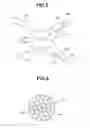 Fig. 06 - BIOMEDICAL IMAGING APPARATUS AND BIOMEDICAL TOMOGRAPHIC IMAGE GENERATION METHOD