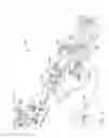 Fig. 07 - Biopsy device with strainer