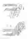 Fig. 02 - Ankle brace and method of using same
