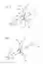 Fig. 08 - Method and apparatus for delivering a therapeutic substance through an injection port
