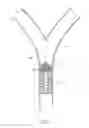 Fig. 02 - PERMANENT ARTERIAL EMBOLI DISSOLUTION FILTER TO PREVENT EMBOLIC OCCLUSION OF A BLOOD VESSEL