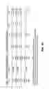Fig. 55 - Method for providing directional therapy to skeletal joints