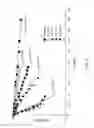 Fig. 03 - Biodegradable stent with adjustable degradation rate