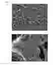 Fig. 07 - Article with foamed surface, implant and method of producing the same