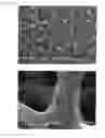 Fig. 08 - Article with foamed surface, implant and method of producing the same