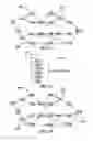 Fig. 07 - Visualization of product build using precedence transversal method