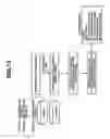 Fig. 11 - Quantitation Method Using Isotope Labeled Internal Standard Substance, Analysis System for Executing the Quantitation Method, and Program for the Analysis