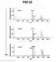 Fig. 21 - Quantitation Method Using Isotope Labeled Internal Standard Substance, Analysis System for Executing the Quantitation Method, and Program for the Analysis