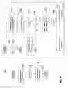 Fig. 09 - Method of extracting a time constant from complex random telegraph signals