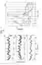 Fig. 02 - Network characterization, feature extraction and application to classification