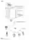 Fig. 02 - Real world network testing combining lower layer network tests, application layer tests and interdependent interactions