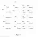 Fig. 06 - Multimedia signal latency management by skipping