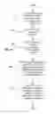 Fig. 05 - Detecting data race and atomicity violation via typestate-guided static analysis