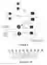 Fig. 09 - Compact decoding of punctured block codes