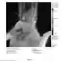 Fig. 05 - F1B-TMIR plasmid vector and transgenic mouse