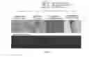 Fig. 09 - F1B-TMIR plasmid vector and transgenic mouse