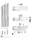 Fig. 08 - GENOME EDITING OF ABC TRANSPORTERS